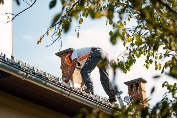 Professional Roofing Contractor in Fort Bragg, CA